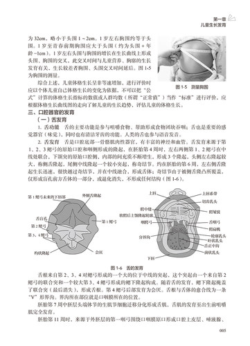 儿童摄食吞咽障碍评估与治疗 周惠嫦 儿童摄食吞咽基础 障碍评估方法临床治疗策略讲解康复 病例分析 人民卫生出版社9787117354646 - 图3