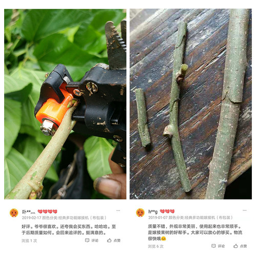 藤原嫁接剪刀多功能芽接刀具刀片u型v型苗木果树嫁接机器园艺工具 - 图1