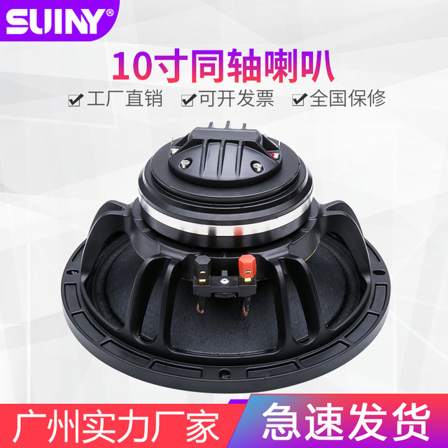 neodymium speakers 10 inch