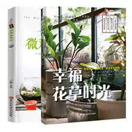 多肉造型花盆推荐品牌 新人首单立减十元 21年6月 淘宝海外