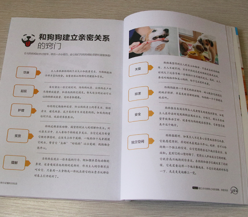 狗狗训练教程书养狗书籍训练狗狗一本就够了教你读懂狗言狗语家庭宠物营养护理大全书籍狗狗饲养喂养宠物狗行为纠正日常调教