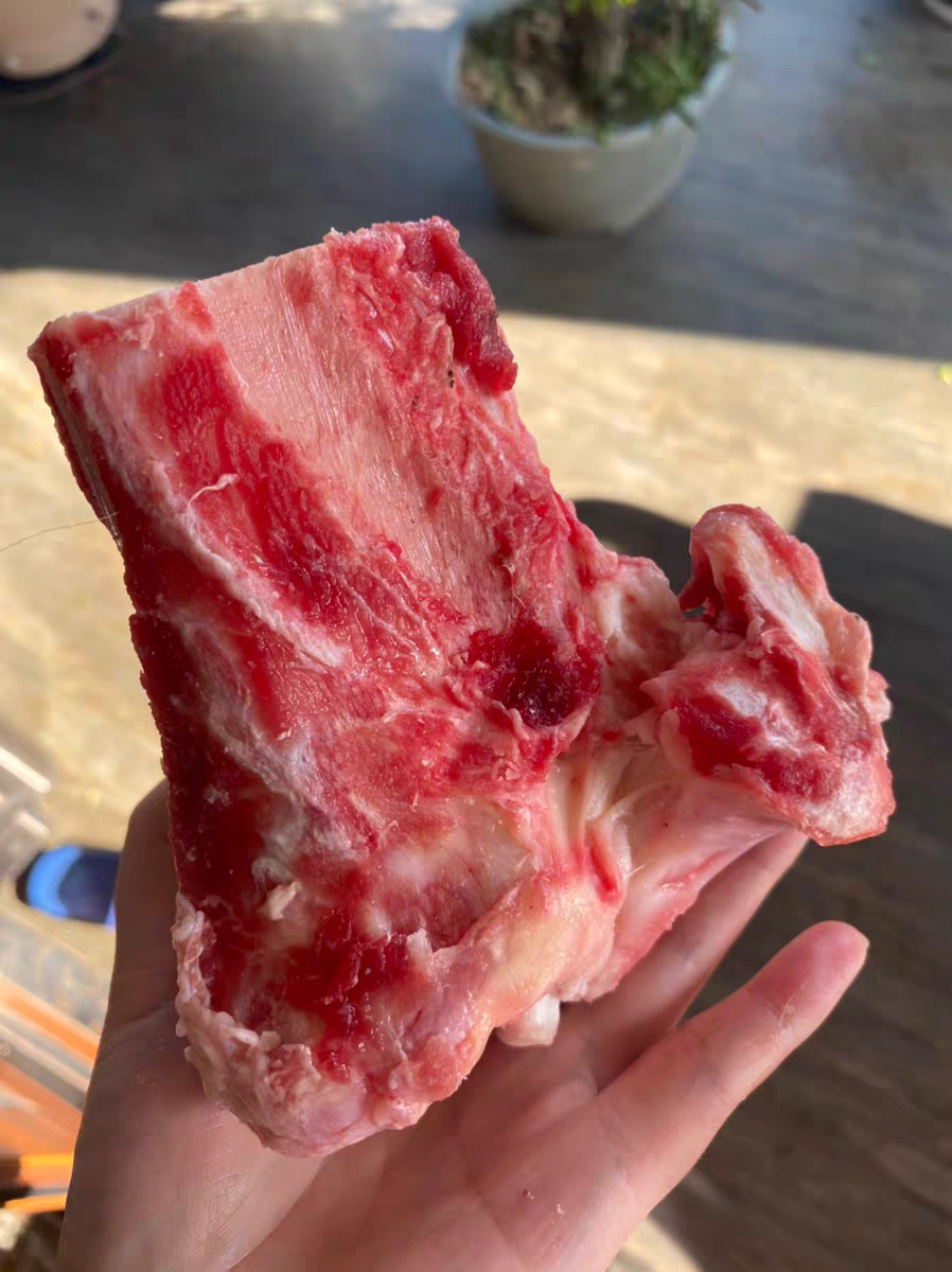 新鲜黄牛棒骨 牛骨头50斤装省内包邮 牛腿骨筒骨生牛大骨煲汤补钙