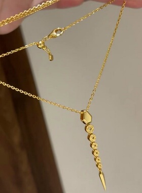 S925纯银项链金钱蛇轻奢高端小众级设计感气质百搭精致锁骨颈链潮