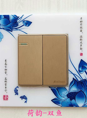 0塑料保护套插座现代简约开关贴