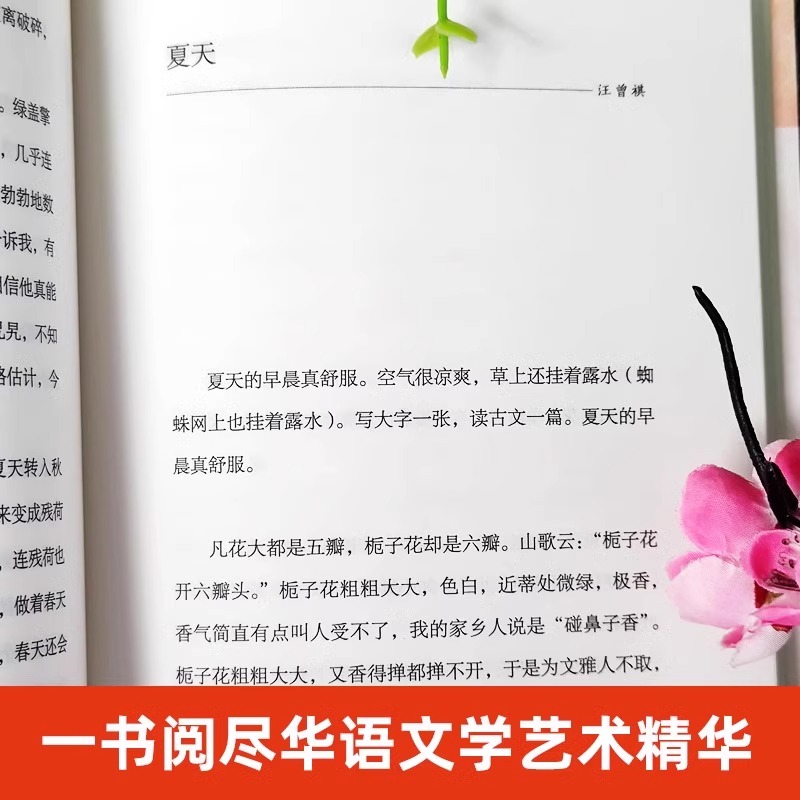 【央视推荐】橙黄橘绿半甜时季羡林史铁生汪曾祺等文学大家散文精品集传统文化生活美学四时节令主题读本近代随笔畅销书文学散文集 - 图0