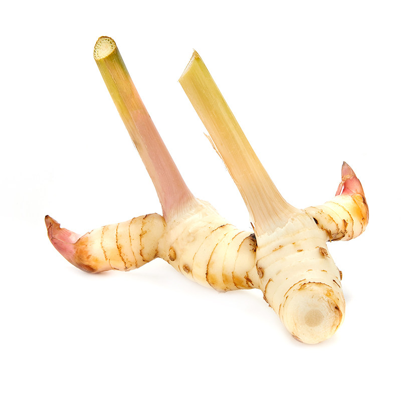 新鲜蔬菜泰国南姜500g 新鲜良姜芦苇姜高良姜冬阴功香料火锅底料,淘宝优惠券,粉丝福利购,淘宝优惠卷