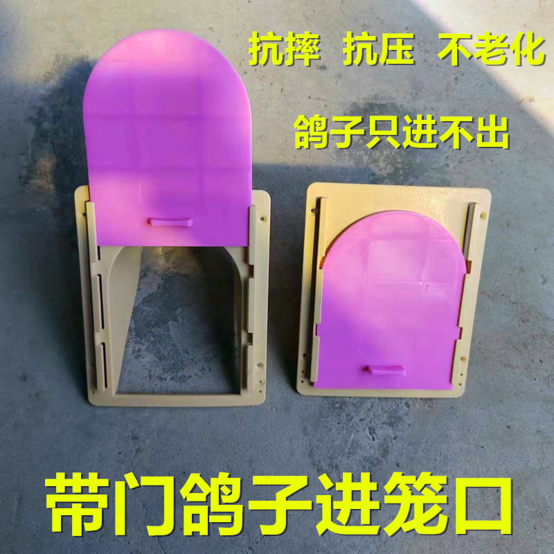 鸽子用品用具欧式进笼口进口门信鸽进门口撞门赛鸽具跳笼口活络门-图0