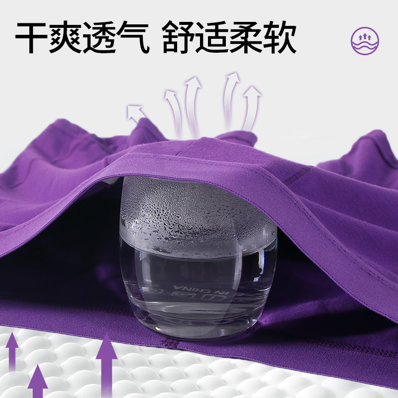 真维斯男士内裤加长防磨腿纯棉抑菌运动跑步防磨裆短裤头男款紫色,淘宝优惠券,粉丝福利购,淘宝优惠卷