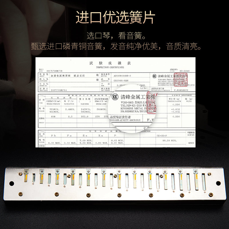 上海国光口琴24孔复音C调初学者儿童学生成人入门专业演奏级高级-图1