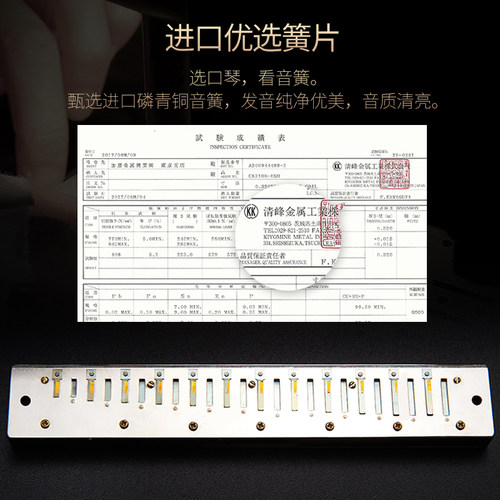 正品上海国光口琴24孔复音C调初学者学生入门28孔重音专业演奏级 - 图1