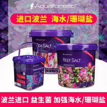 Polish Purple Forest AquaforestLPS SPS Coral Salt Probiotics Reinforced Seawater Salt Sea Salt