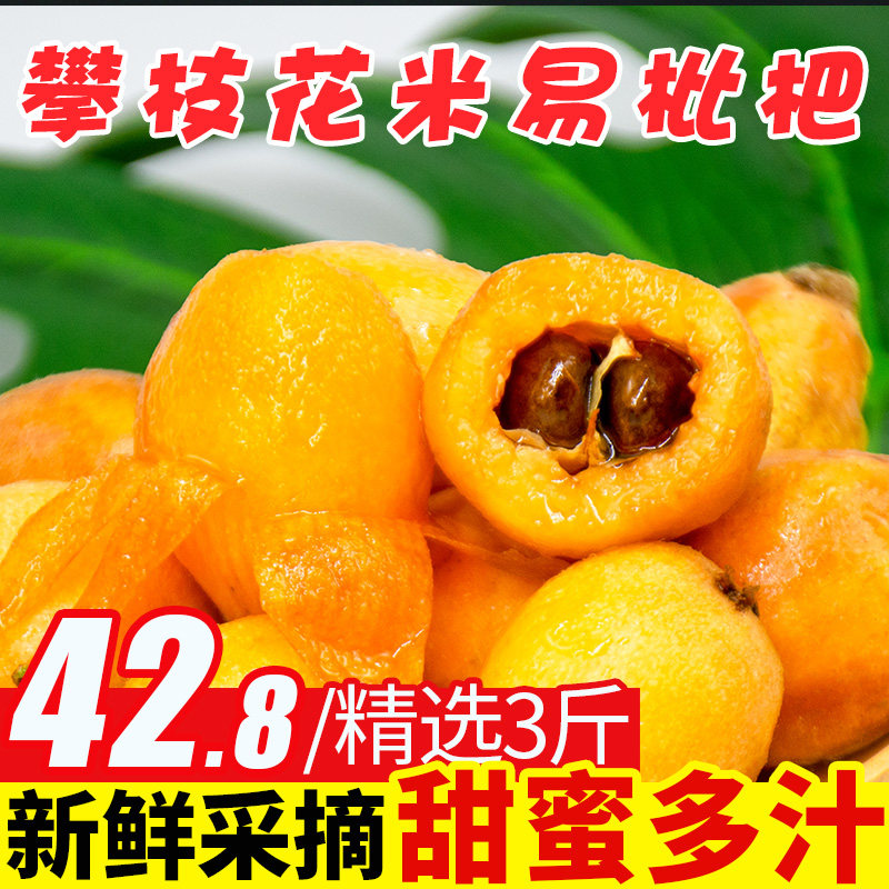 四川攀枝花米易批杷新鲜水果小果琵琶果当季3斤琵笆果整箱枇杷甜5