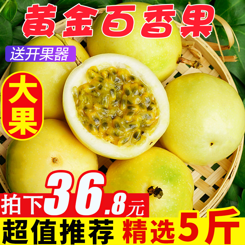 纯香果旗舰店纯香果黄金百香果5斤包邮当季黄色百果香水果新鲜特大果一级整箱10