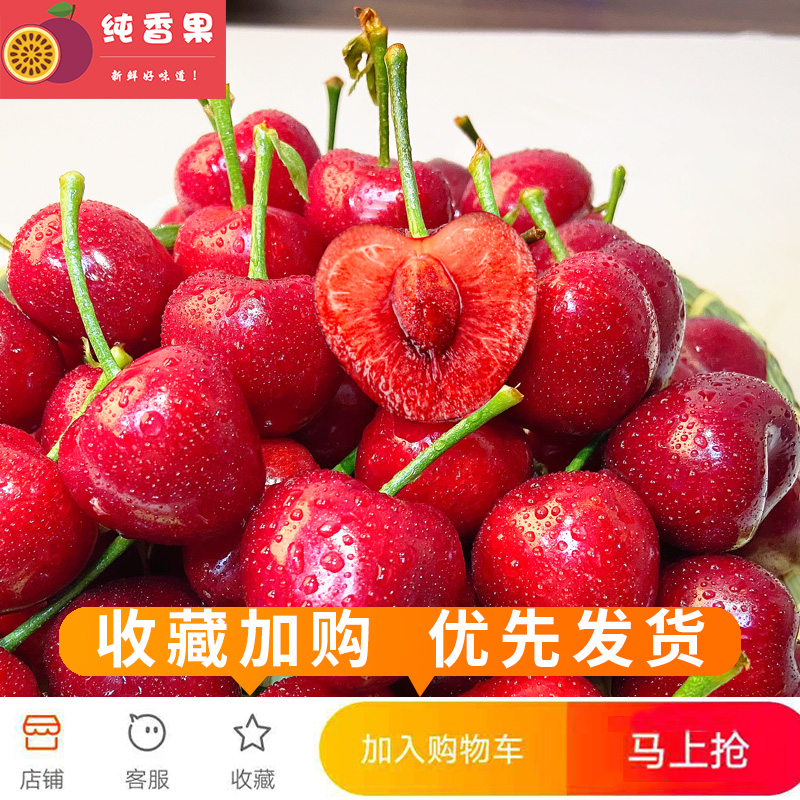 纯香果旗舰店山东烟台大樱桃水果新鲜5斤装JJJ级大果车厘子应当季樱桃整箱包邮0