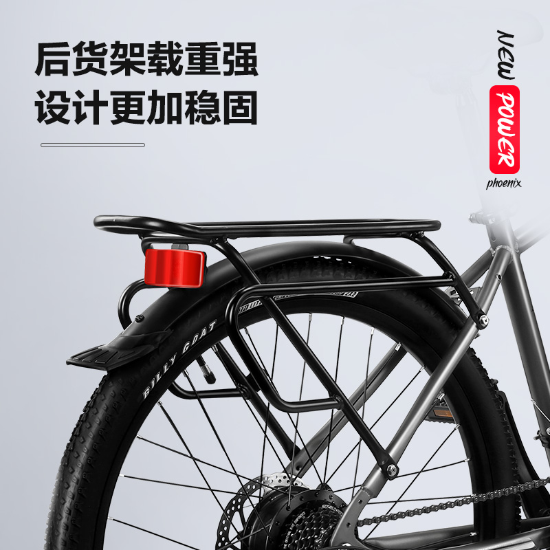 凤凰新国标电动车助力男女士成年人电动自行车锂电池代步电瓶单车 - 图1