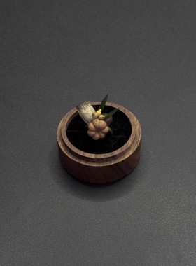 【小桔瓜】进口森系植物干果实戒指