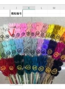 永生兔尾草干花狗尾巴草真花