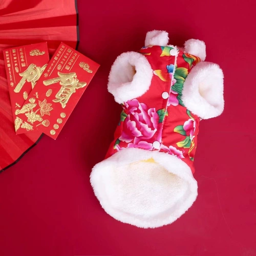 Кошачья одежда Зимний Новый год Тедди северо -восток да Хуа Цзяо Британский короткий банк.