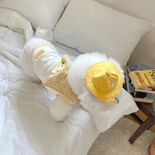 夏季狗衣服薄款宠物衣服透气卡通狗背心猫衣服泰迪比熊衣服 - 图1