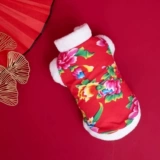 Кошачья одежда Зимний Новый год Тедди северо -восток да Хуа Цзяо Британский короткий банк.