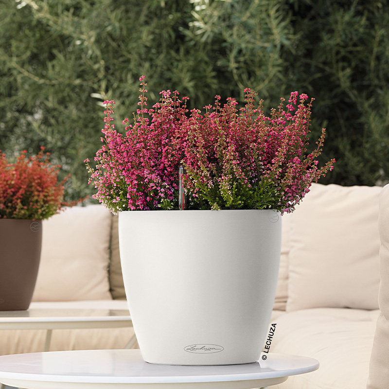 Lechuza德国进口树脂家用花盆桌面欧式自动上水创意圆classic 21 - 图1