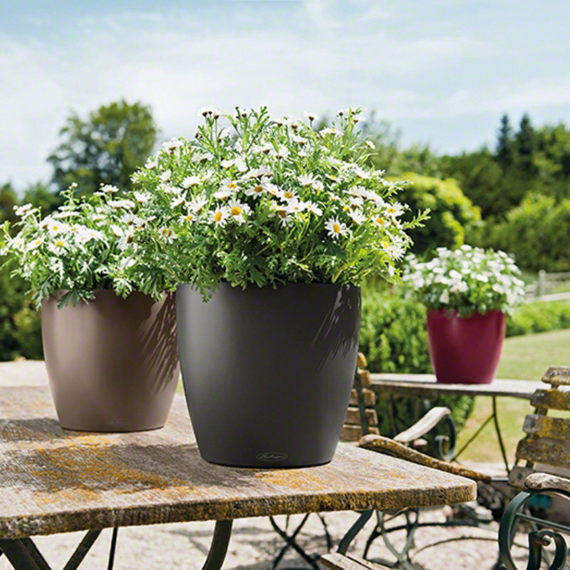 Lechuza德国进口树脂家用花盆桌面欧式自动上水创意圆classic 21 - 图0