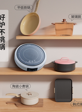 家用智能新款迷你电陶炉围炉煮茶