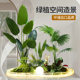 High-end simulated green plants combined with tropical plants