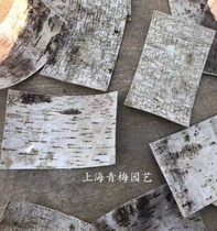 White Birch Bark Home Decoration DIY Floral Materials Crafts Raw Material Wedding Decor Genuine Tree Leather Bag Piping Pillar Wall Surface