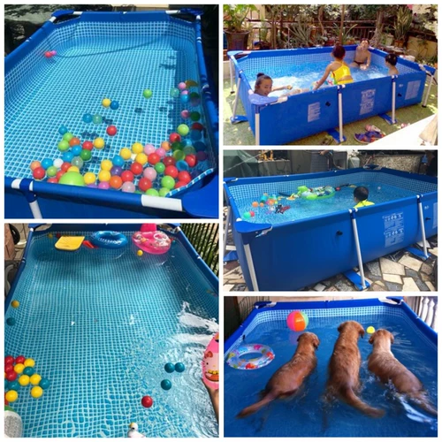 Intex, бассейн, вилла для детского сада, домашний питомец
