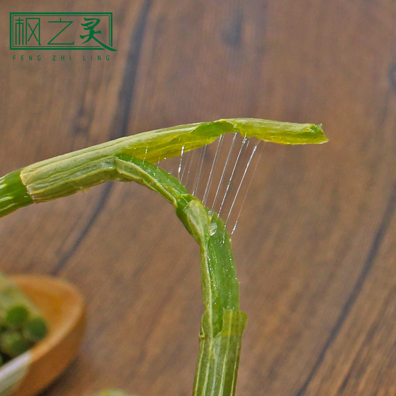 枫之灵铁皮鲜条雁荡山原产种植枫斗 枫之灵石斛/枫斗