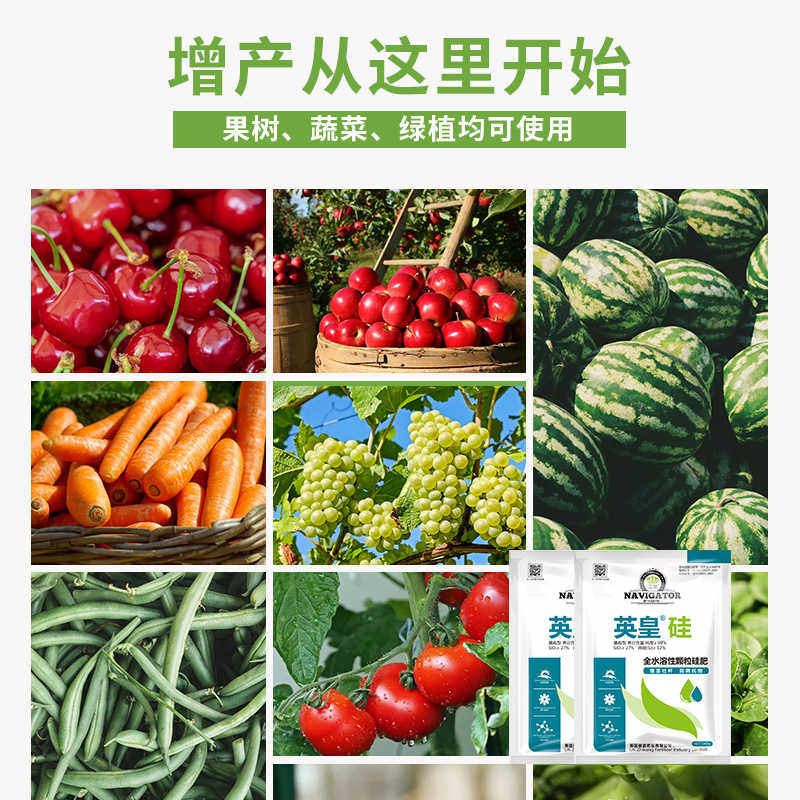 英国进口颗粒硅肥冲施肥果树蔬菜绿植水稻强茎壮杆减少病害水溶肥,淘宝优惠券,粉丝福利购,淘宝优惠卷