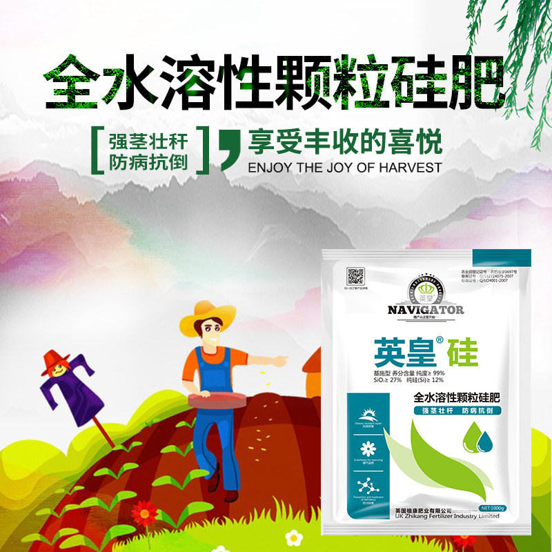 英国进口颗粒硅肥冲施肥果树蔬菜绿植水稻强茎壮杆减少病害水溶肥,淘宝优惠券,粉丝福利购,淘宝优惠卷