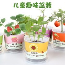 Children Cultivation Small Potted Flowers Sunflower Strawberry Flowers Seed Plant Growth Observation Experiment Suit Vegetable Seeds