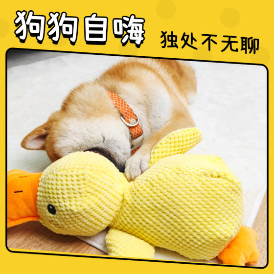 Dog toys sound, bite-resistant, charging duck, small and medium-sized dogs, corgi teddy, pet cat, energy-consuming and boredom-relieving artifact