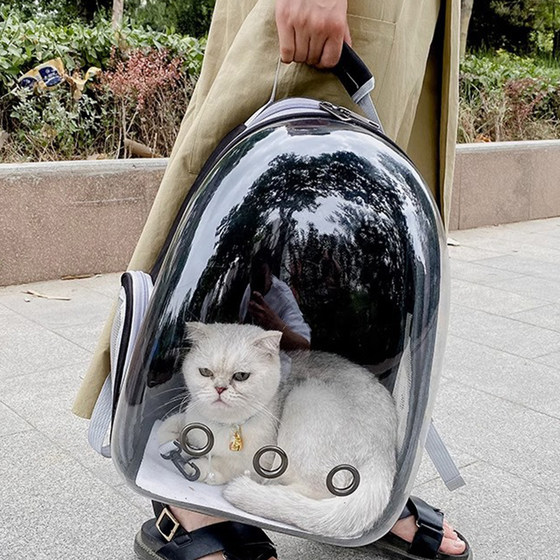 Cat Bag Space Pet Pod Out Portable Breathable Large Capacity Backpack Cat Bag Supplies Cat Dog Backpack