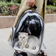 Cat Bag Space Pet Pod Out Portable Breathable Large Capacity Backpack Cat Bag Supplies Cat Dog Backpack