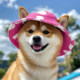 Dog hat with leaky ears, spring and summer sun protection, cute sun hat, headwear, Shiba Inu sun protection fisherman hat, photo internet celebrity style