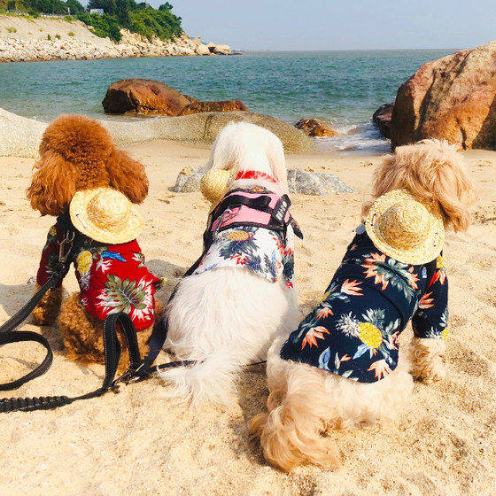 Summer French Dou Autumn and Winter Shirts Cat and Dog Clothes