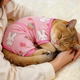Cat Clothes Summer Sunscreen Vest Ragdoll Blue Cat Anti-shedding Four-legged Clothes Pet Dog Thin Breathable Skin Friendly