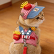 Cat Spring and Summer Harness Traction Rope Cute Sun Hat Set Pet Dog Clothes Autumn Outing Supplies
