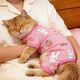 Cat Clothes Summer Sunscreen Vest Ragdoll Blue Cat Anti-shedding Four-legged Clothes Pet Dog Thin Breathable Skin Friendly