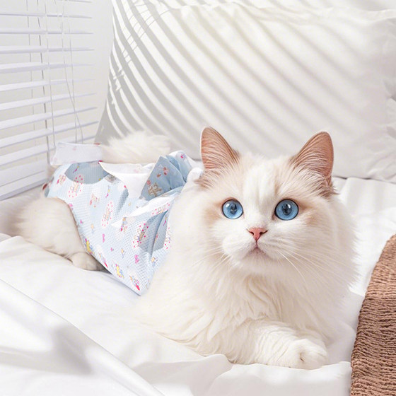 Cat sterilization clothing, female cat weaning clothing, straps, cat anti-licking clothes, female cat pet, male cat postoperative surgical clothing