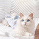 Cat sterilization clothing, female cat weaning clothing, straps, cat anti-licking clothes, female cat pet, male cat postoperative surgical clothing