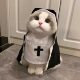 Pet Halloween decoration women's clothing funny cos photo props hoodie British short dog clothes Gothic style