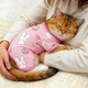 Cat clothes summer lightweight breathable four-legged clothes cute cartoon vest ragdoll British short dog cool sun protection shirt