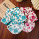 Cat clothes summer anti-shedding Korean holiday style shirt orange cat puppet gold gradient pet dog air-conditioning clothing