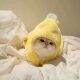 Cat clothes funny banana transformed into autumn and winter velvet thickened puppet British short blue kitten cute hooded costume