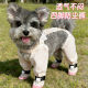 Dog anti-dirty clothes, dust-proof trouser leg covers, waterproof Bichon Teddy puppy, dog walking artifact, four-legged clothes with feet