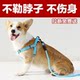Dog leash adjustable harness dog walking chain